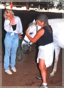 Photo 4 - Equine CranioSacral Workshops