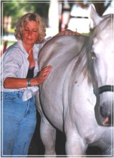 Photo 5 - Equine CranioSacral Workshops